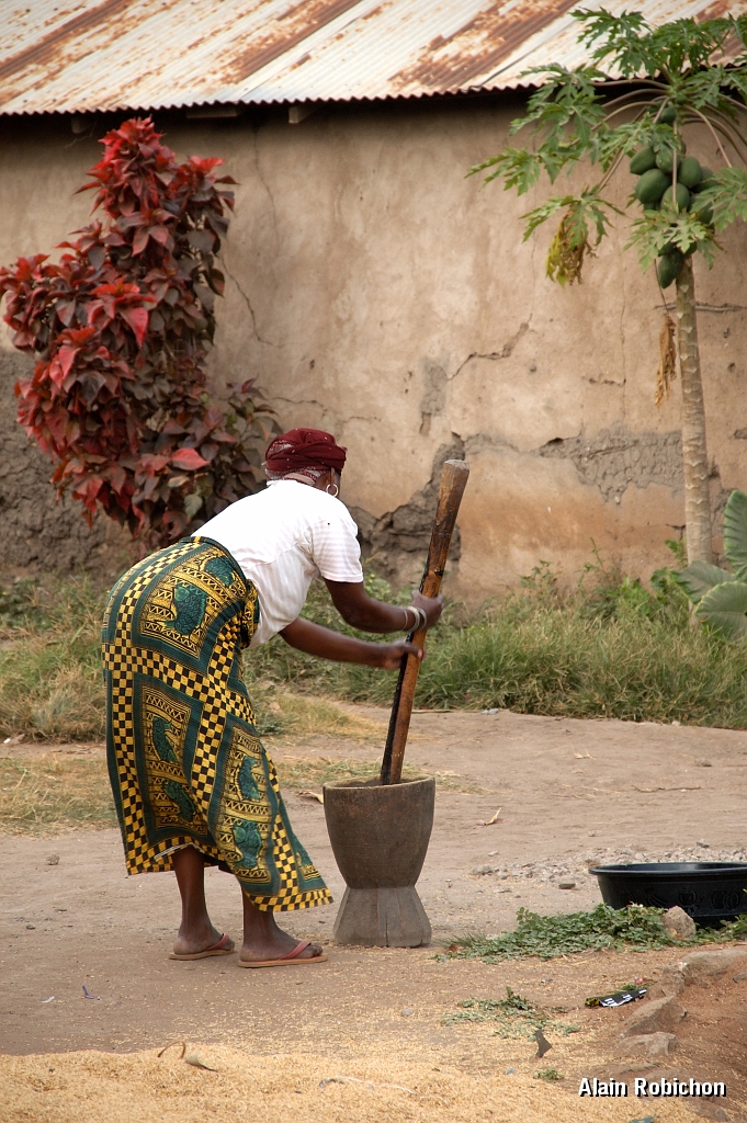 Tanzanie0422EPV0453.jpg