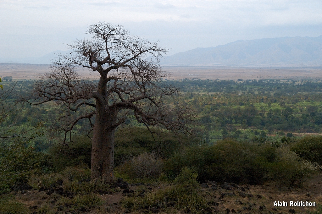 Tanzanie0428EPV0459.jpg