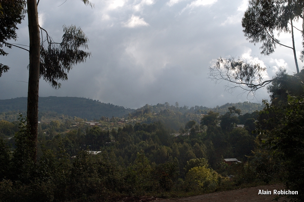 Tanzanie0502EPV0540.jpg