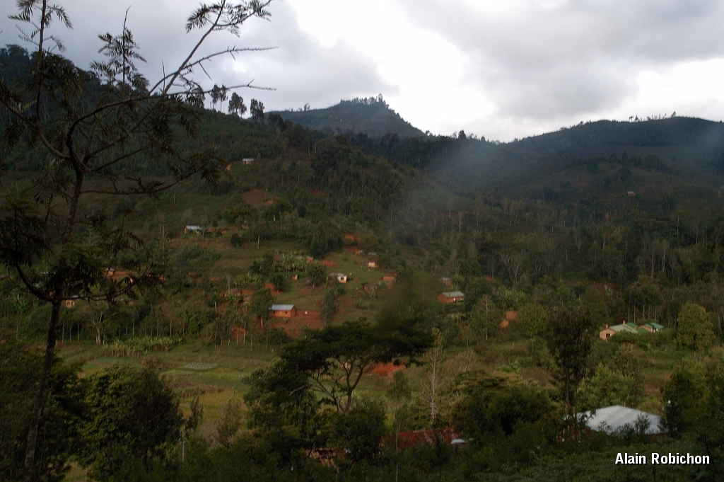 Tanzanie0503EPV0541.jpg