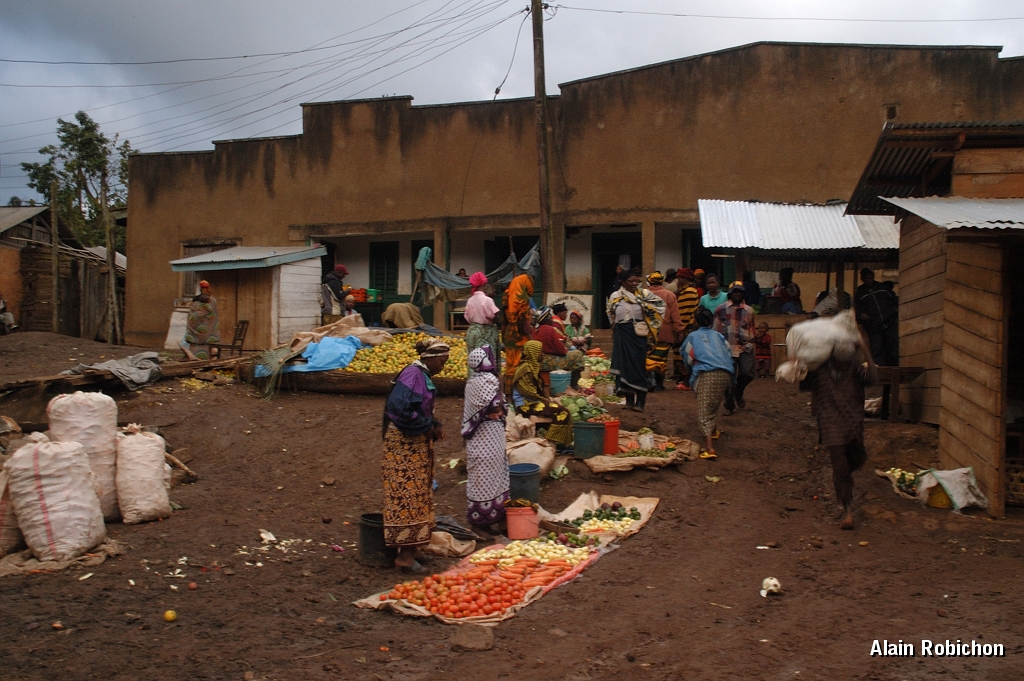 Tanzanie0504EPV0542.jpg