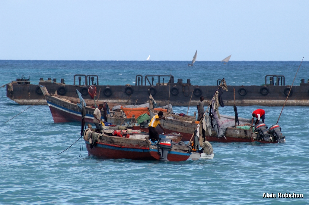 Tanzanie0512EPV0551.jpg