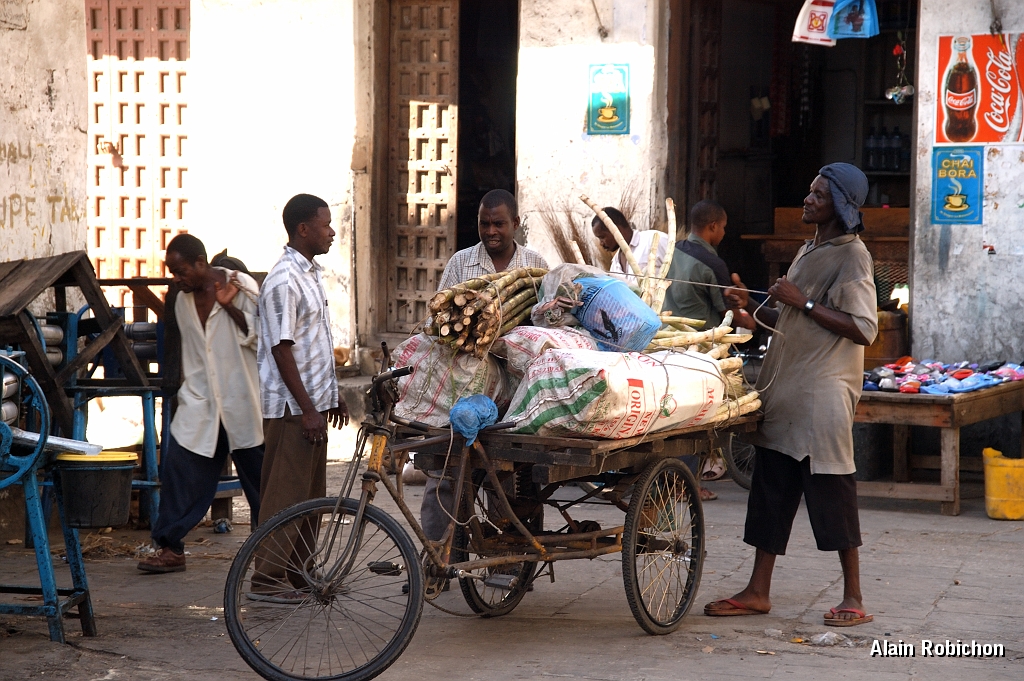Tanzanie0522EPV0561.jpg