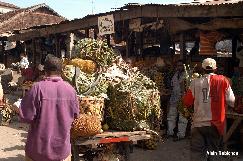 Tanzanie0524EPV0564.jpg