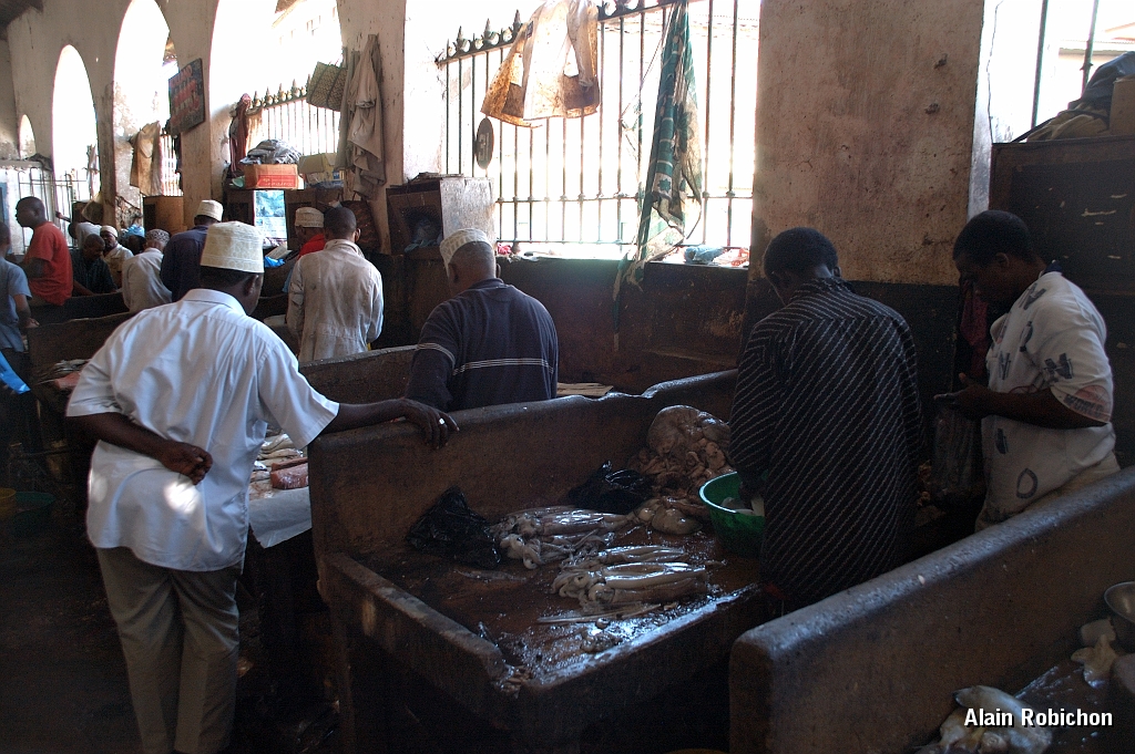 Tanzanie0527EPV0569.jpg