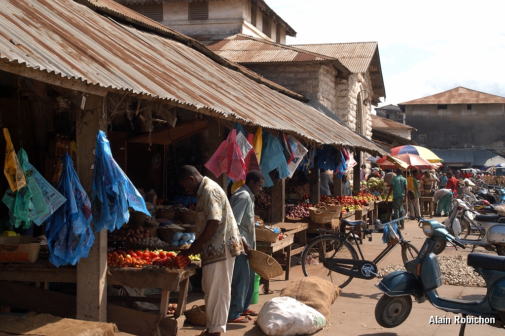 Tanzanie0528EPV0570.jpg