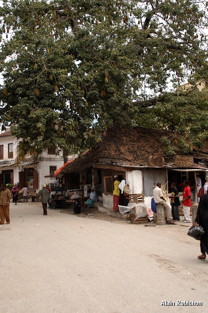 Tanzanie0536EPV0578.jpg