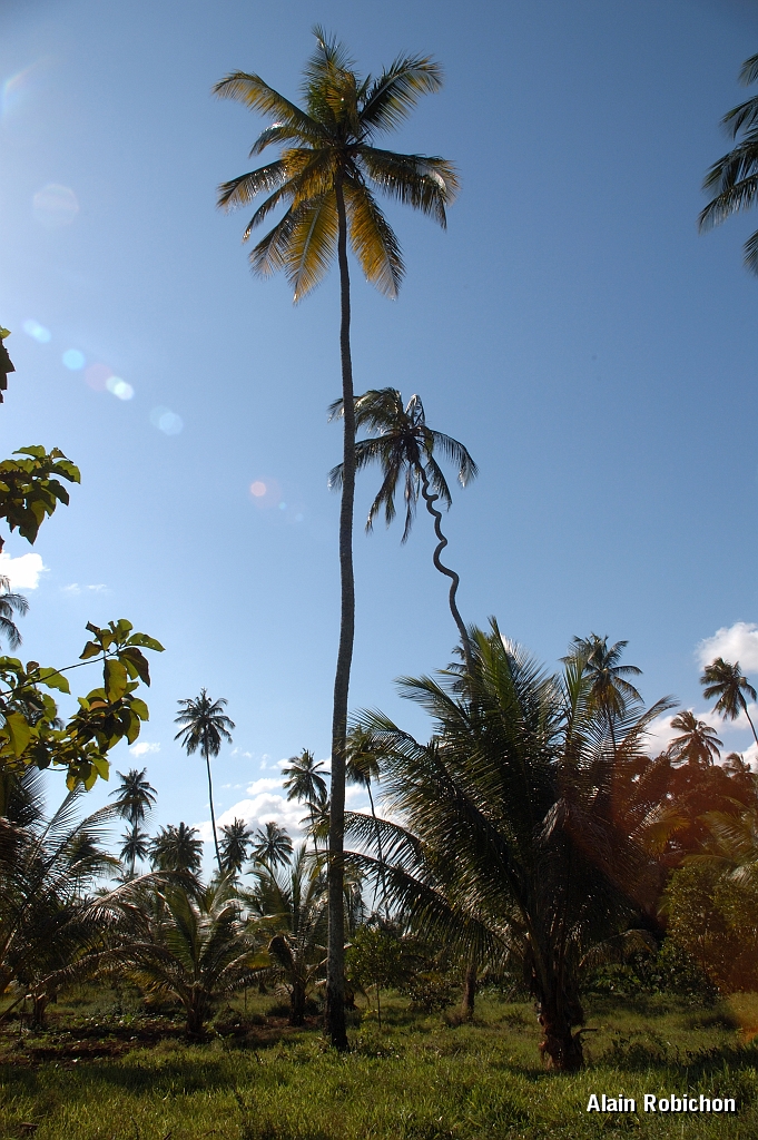 Tanzanie0557EPV0599.jpg