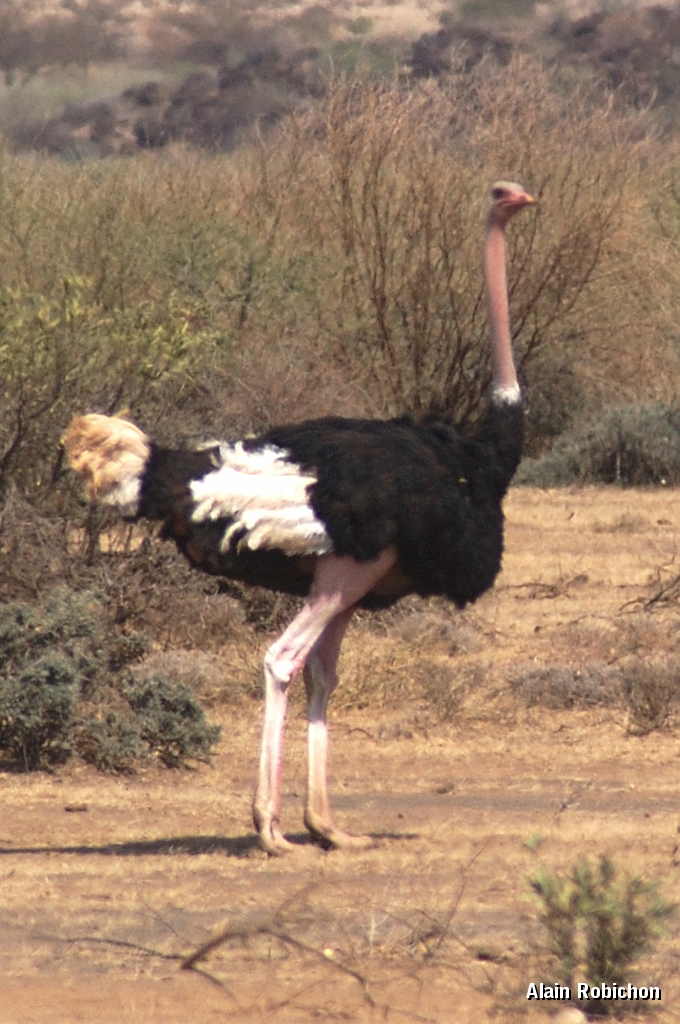 Tanzanier0011EPV0018.jpg