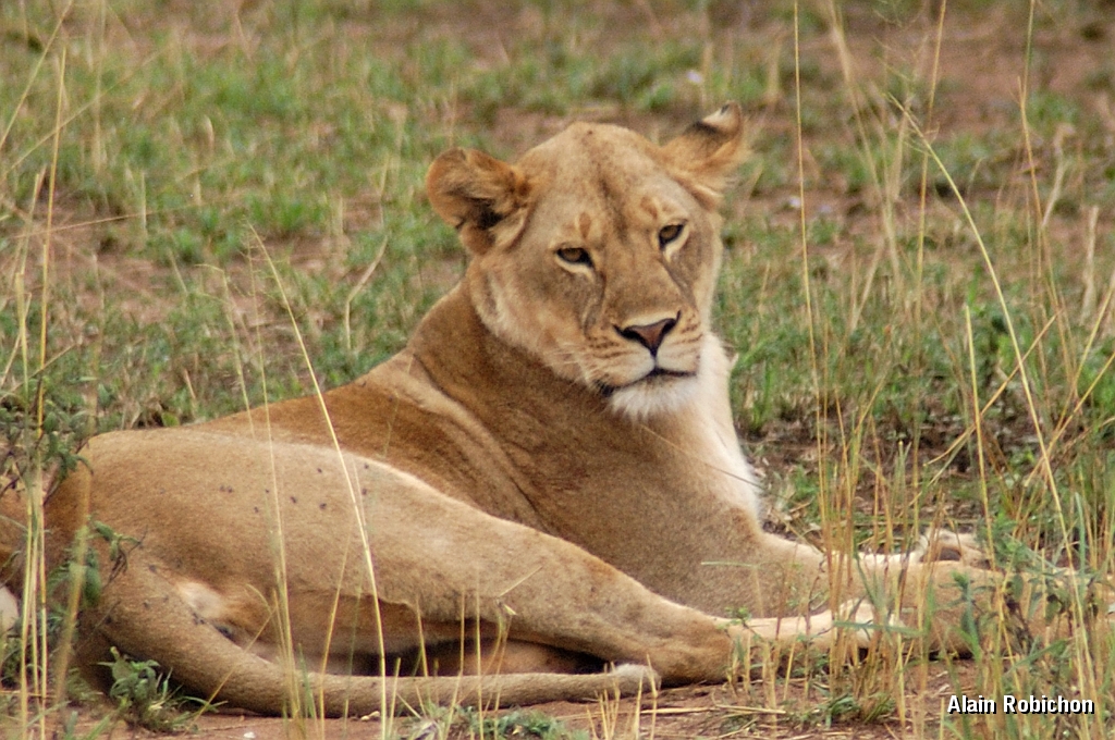 Tanzanier0154EPV0175.jpg