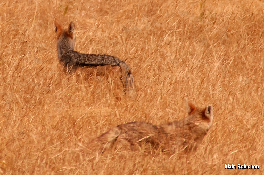 Tanzanier0282EPV0308.jpg