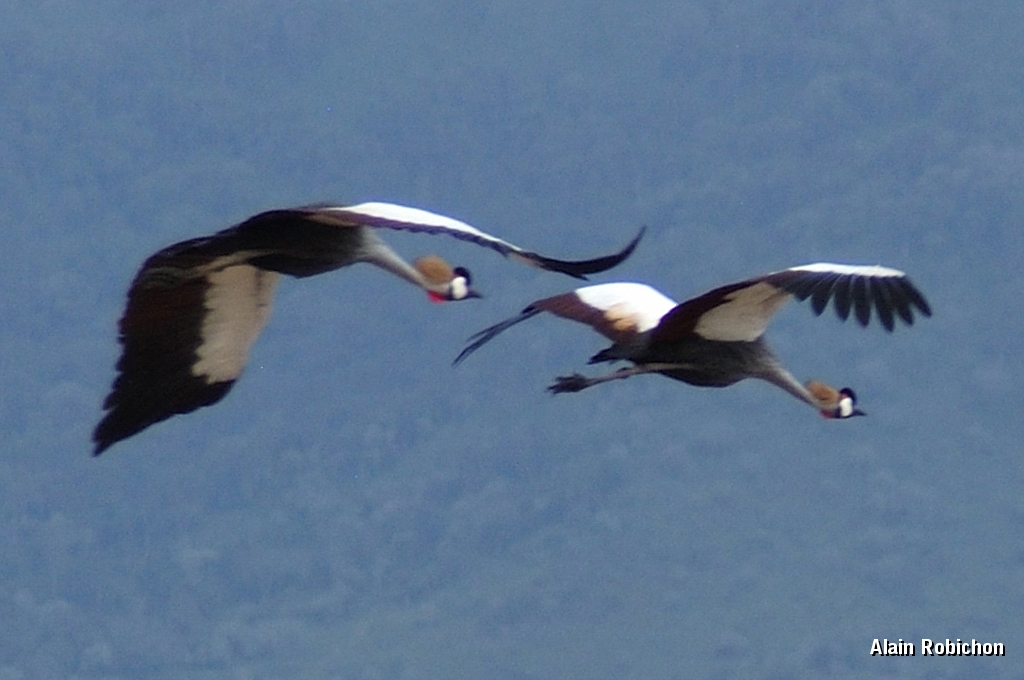 Tanzanier0325EPV0352.jpg