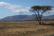 Tanzanie0001EPV0008