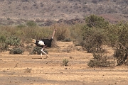 Tanzanie0010EPV0017