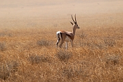 Tanzanie0019EPV0027