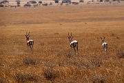 Tanzanie0021EPV0029
