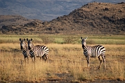 Tanzanie0033EPV0051