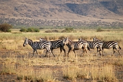 Tanzanie0036EPV0054