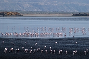 Tanzanie0041EPV0059