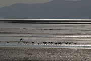 Tanzanie0043EPV0061