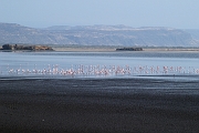 Tanzanie0045EPV0063