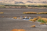 Tanzanie0048EPV0066