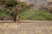 Tanzanie0051EPV0069