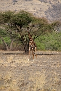 Tanzanie0055EPV0073