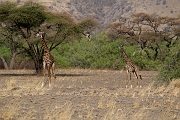 Tanzanie0056EPV0074