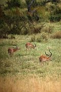 Tanzanie0061EPV0079