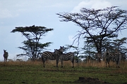 Tanzanie0062EPV0080