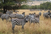 Tanzanie0076EPV0094