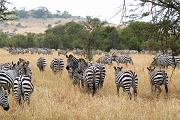Tanzanie0077EPV0095