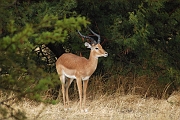 Tanzanie0084EPV0102