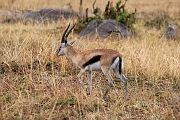 Tanzanie0086EPV0104