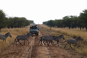 Tanzanie0122EPV0142
