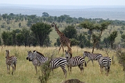 Tanzanie0136EPV0157