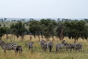 Tanzanie0139EPV0160