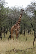 Tanzanie0142EPV0163