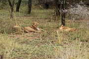 Tanzanie0148EPV0169