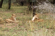 Tanzanie0151EPV0172