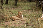 Tanzanie0152EPV0173