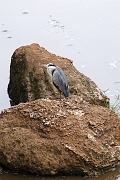 Tanzanie0161EPV0182