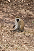 Tanzanie0168EPV0189