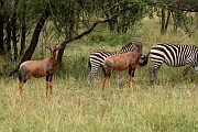 Tanzanie0188EPV0210