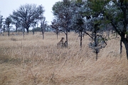Tanzanie0212EPV0234
