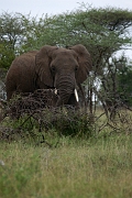 Tanzanie0226EPV0252