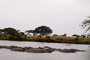 Tanzanie0233EPV0259