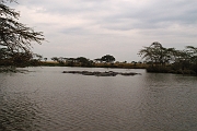 Tanzanie0235EPV0261