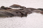 Tanzanie0236EPV0262
